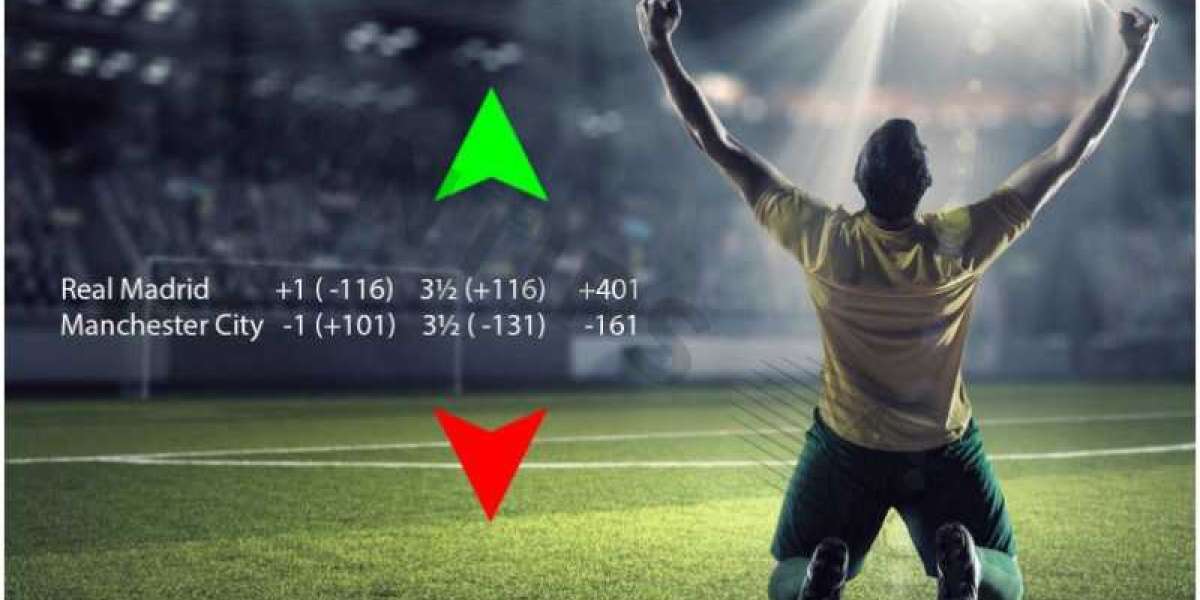 Discover the Extremely Accurate Odds Analysis Software