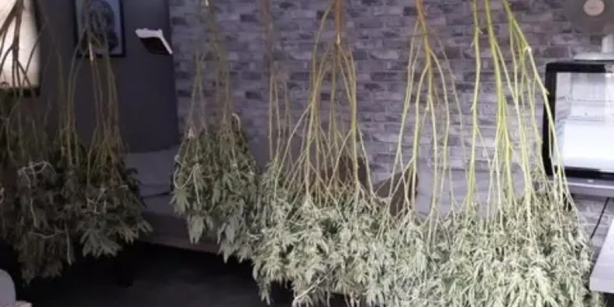 Harry Potter-Inspired Drug Dealer Jailed - 4.5 Years