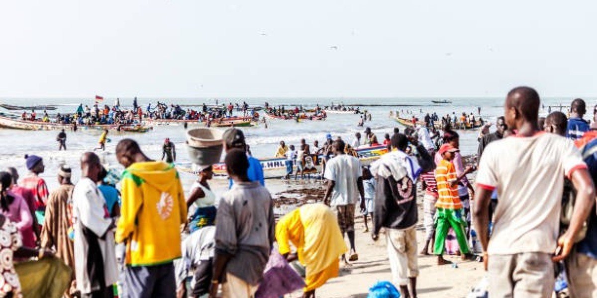 Pêche Artisanale vs Industrielle au Sénégal : La Bataille pour l'Or Bleu de l'Atlantique