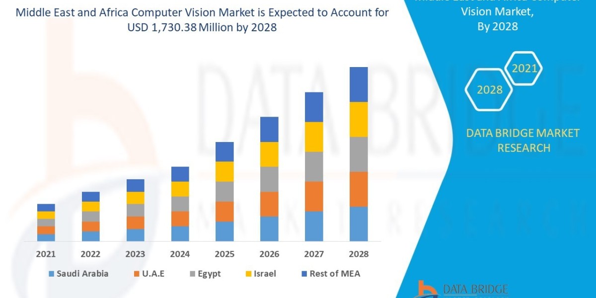 Middle East and Africa Computer Vision Market Rises with AI-Powered Industrial Applications