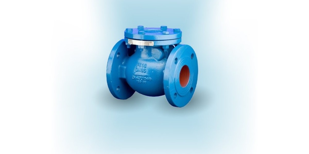 Non Return Valves IS 5312-2 – Sizes, Materials & Industrial Uses