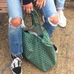 goyard Profile Picture