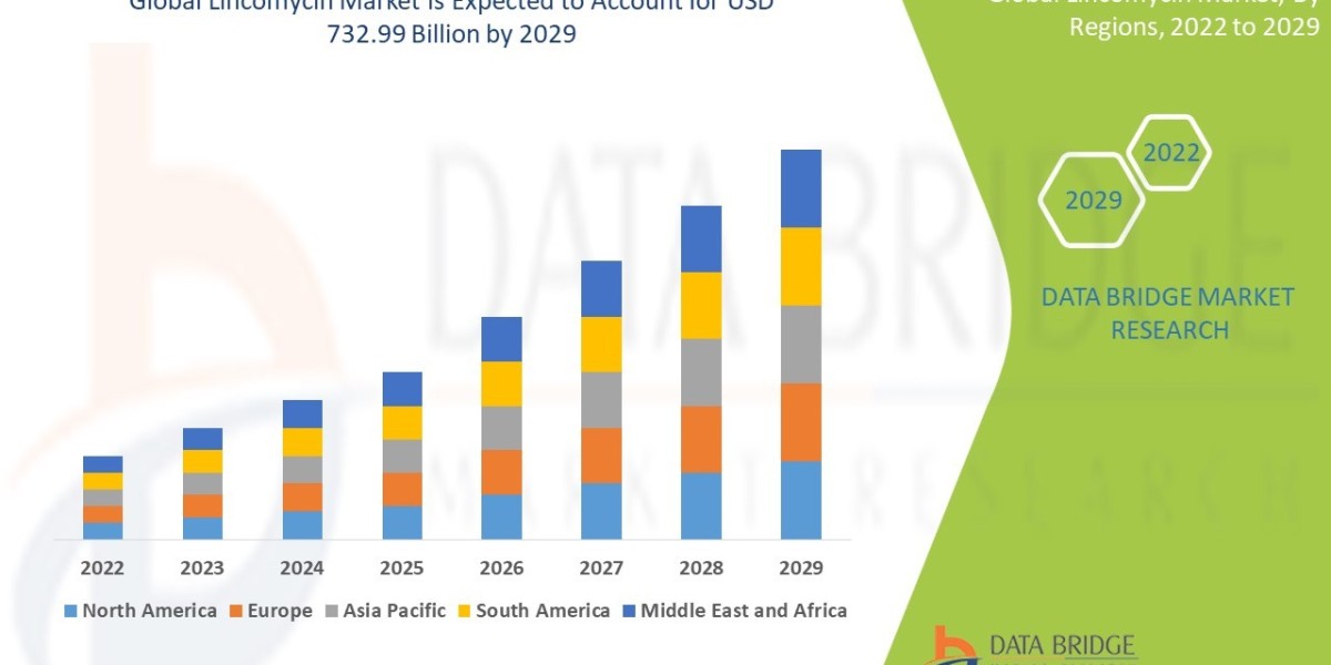 Lincomycin Market CAGR of 4.80% during the forecast period of 2022 to 2029.