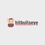Hitbullseye Profile Picture