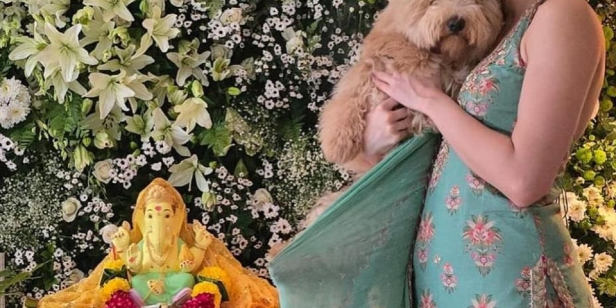 Celebrating in Style: The Ultimate Guide to Festive Wear Kurta Sets for Women