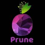 Prune Digital Consumer Solutions Pvt l Profile Picture