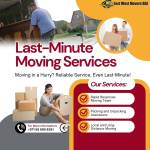 East West Movers UAE Profile Picture