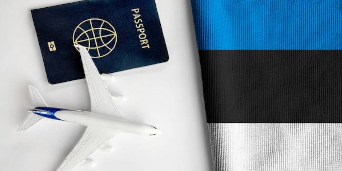 Top 7 Documents You Must Have for a Successful Estonia Visa Application