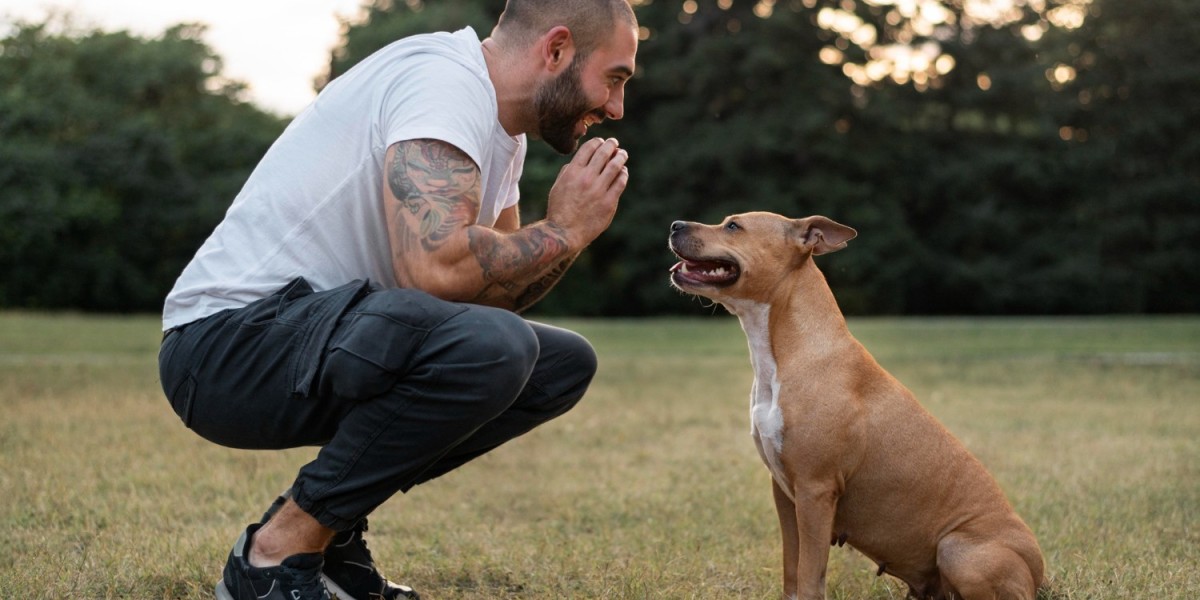 Why West Palm Beach Puppy Training Is Essential for First-Time Owners