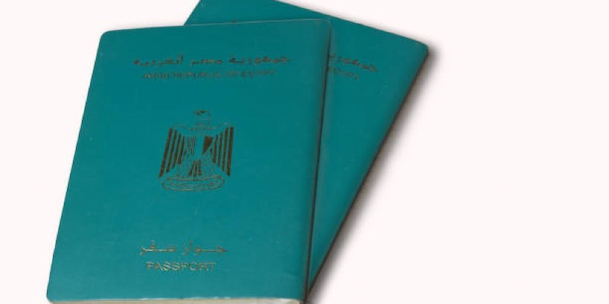 10 Common Mistakes That Delay Egypt Visa Processing