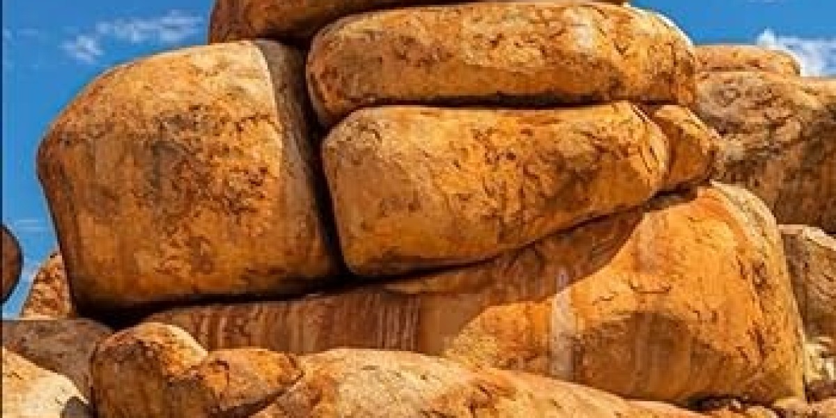 No Cure for Beauty by Joyce E. Anderson