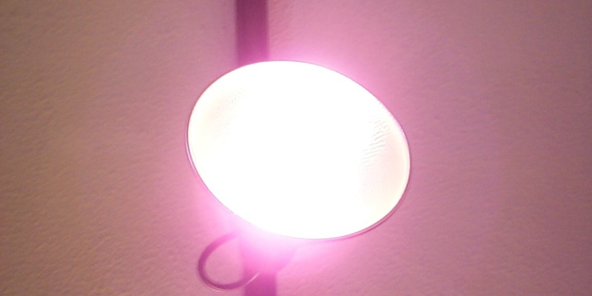 Experience Exciting Games and Bonuses