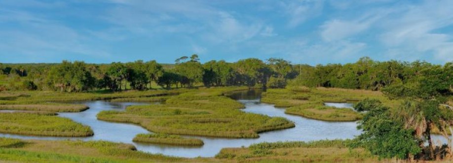 IVA Environmental Cover Image