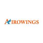 Airowings LLC Profile Picture