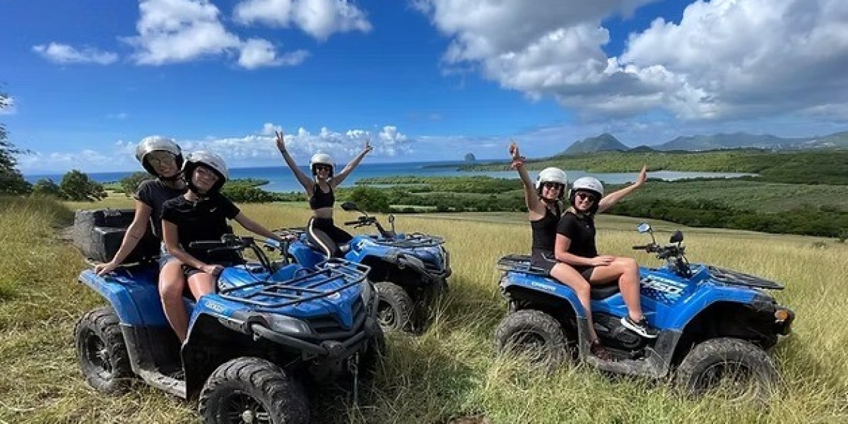 Excursion dauphin en Martinique : vivez une aventure marine inoubliable