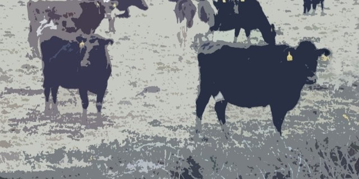 Joe Fortune: Online Casino Australia $5000 Welcome Bonus