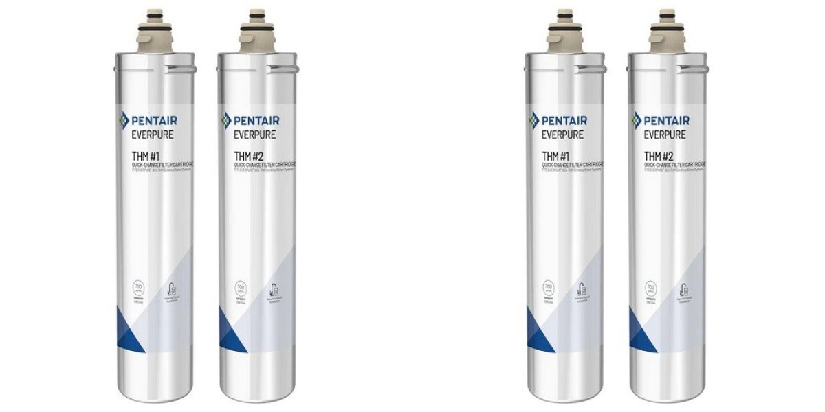 Why Everpure Water Filter Cartridges Are Trusted by Restaurants and Homeowners Alike