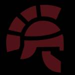 roman security profile picture