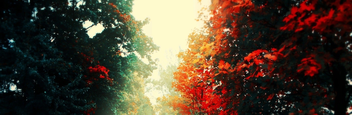 Wyatt Langston Cover Image