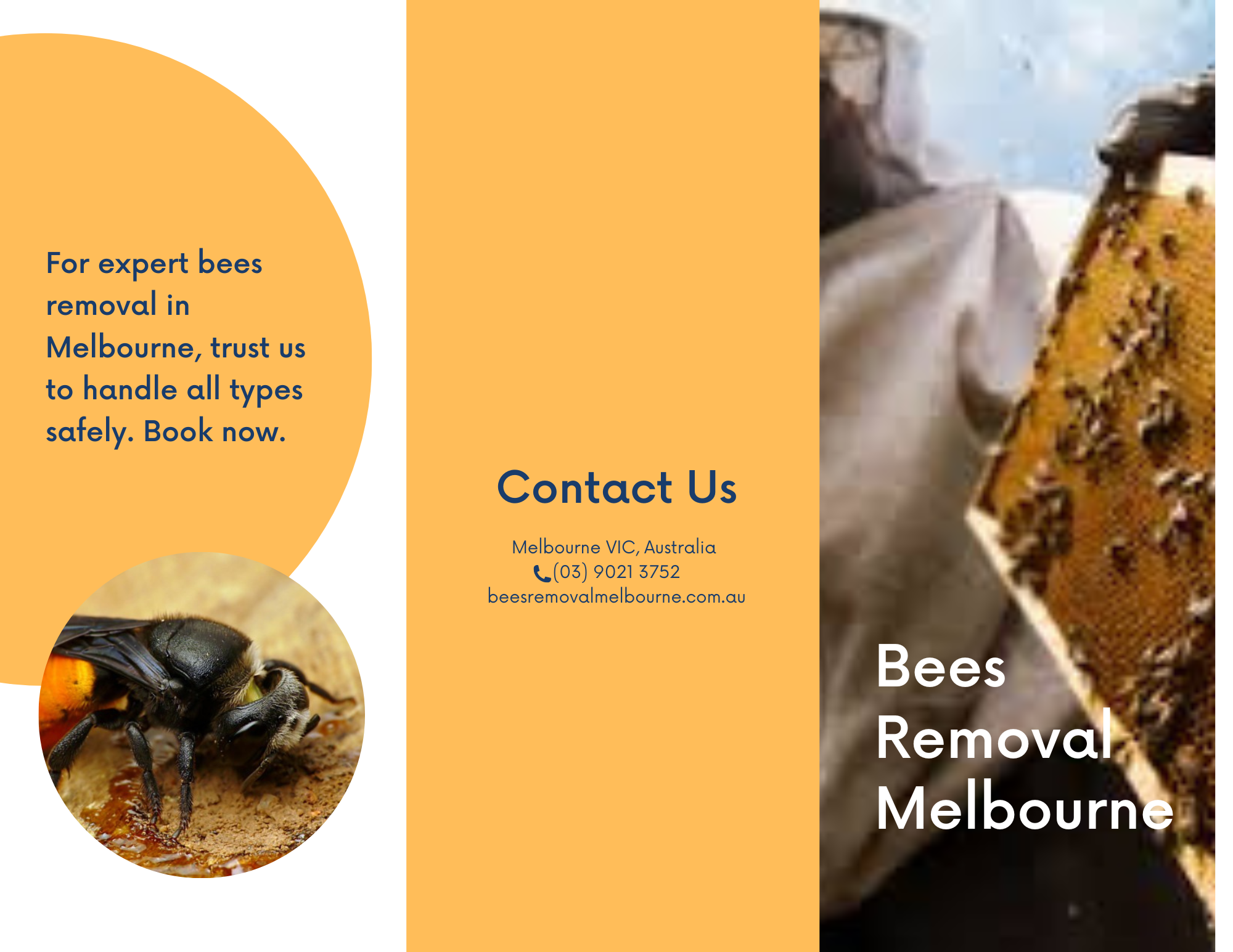 Beehive Removal Cost in Melbourne: What to Expect? - Bees Removal Melbourne