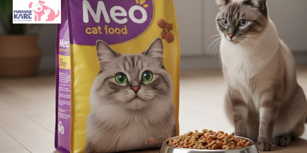 Meo Kitten Food Tips for New Pet Owners | Furever Kare