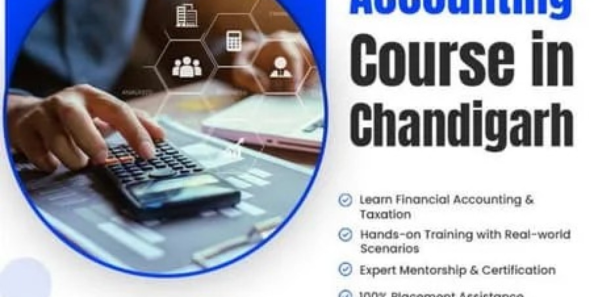 Learn Accounting from Basics to Advanced: Expert Training Programs