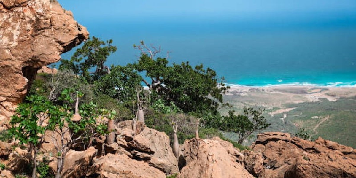 Socotra Camping Guide: What to Expect & How to Prepare