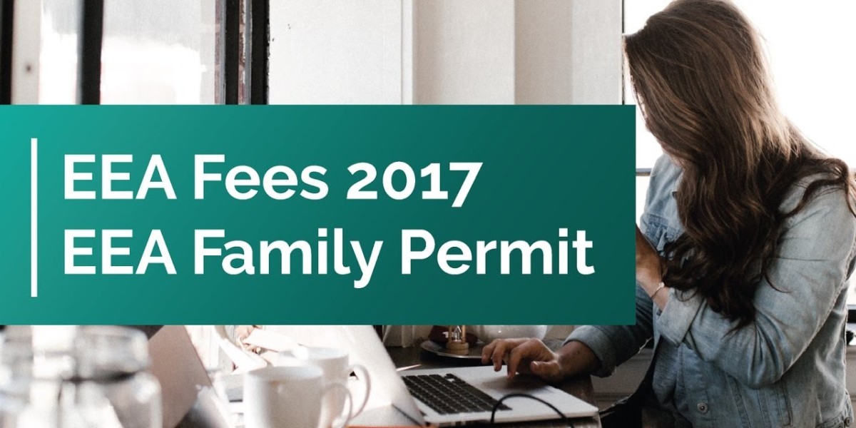 Post-Brexit Pathways: A Diagnostic Guide for Families of EU Nationals in the UK