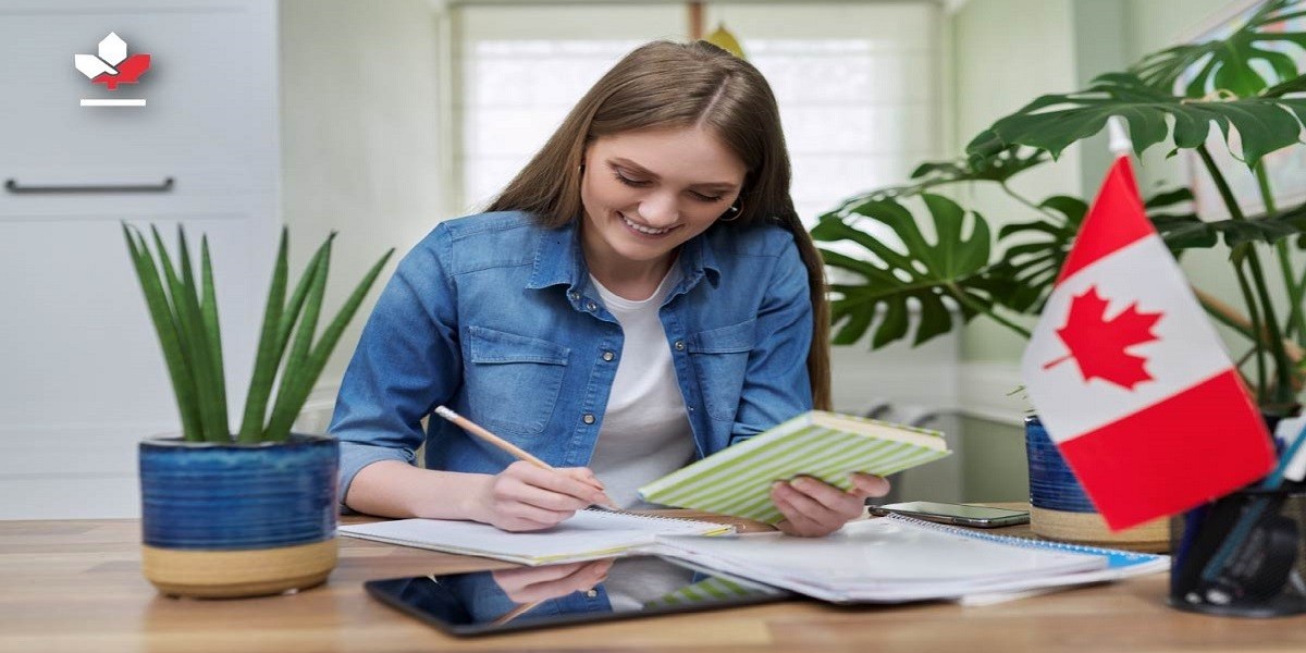 How the Top Canada Immigration Consultant in Dubai Supports Entrepreneurs