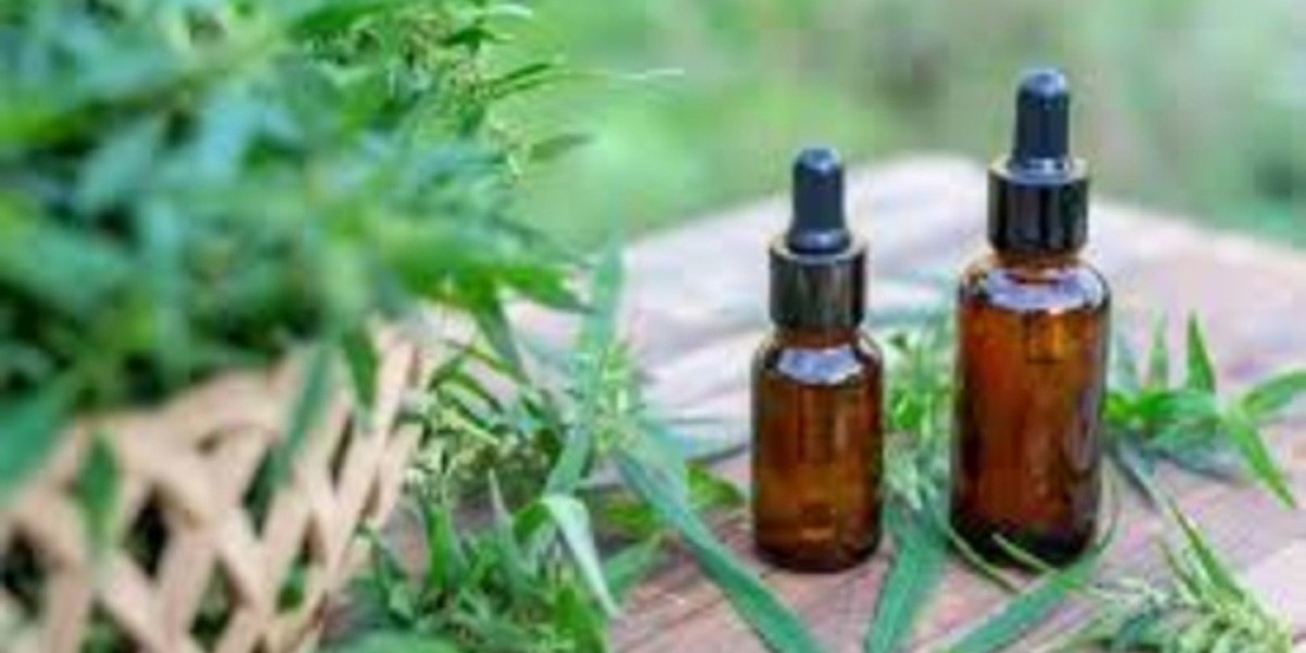 CBD Vannes : Découvrez le cannabidiol pour un bien-être naturel au quotidien
