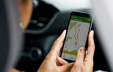 Taxi Camberwell, Book Taxi to Melbourne Airport - Silver Cabs Melbourne