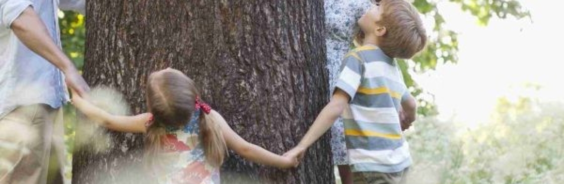 Artmires Forestry Cover Image