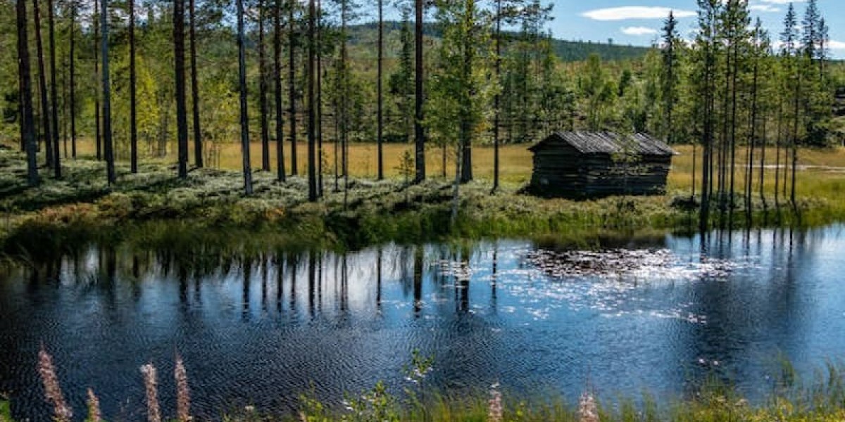 Hidden Nature Spots in Northern Sweden
