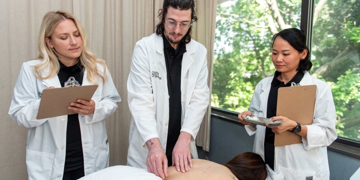 Acupuncture Therapy Diploma Canada – Start Your Holistic Healing Journey with Eight Branches