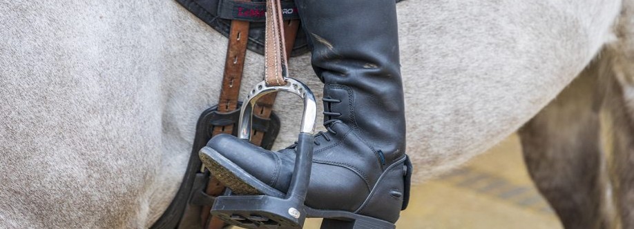 Saddle Stirrups Cover Image