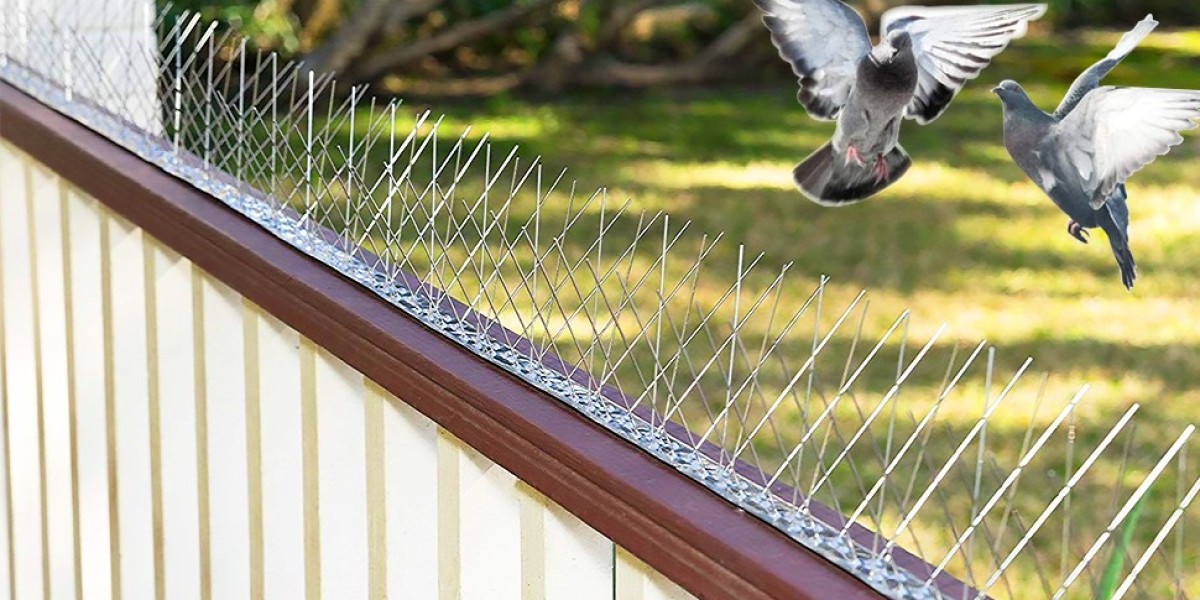 Smart Bird Control: Choose Bird Spikes in Dubai