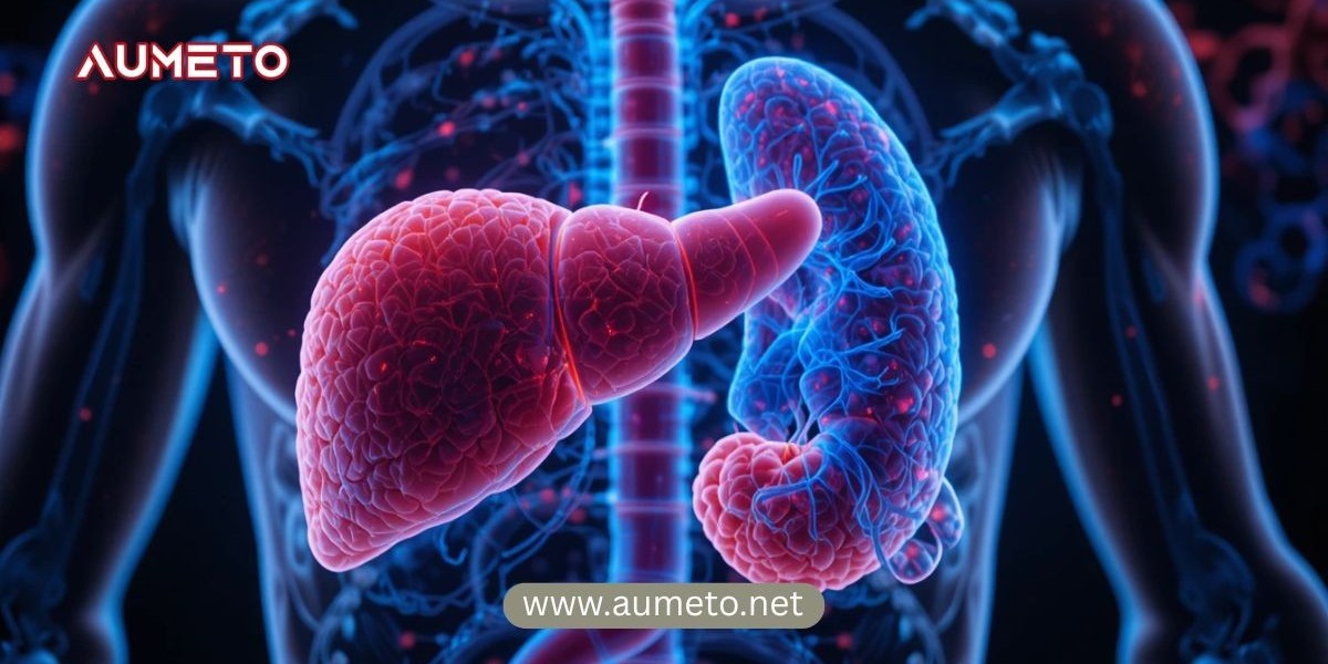 Best Liver & Gallbladder Supplements — Aumeto’s Guide to Organ Health & Detox Support