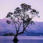 harshali gade Profile Picture