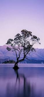 harshali gade Profile Picture